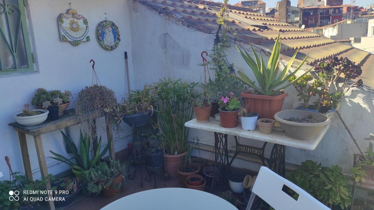 Vacanzella Catania Ngoại thất bức ảnh